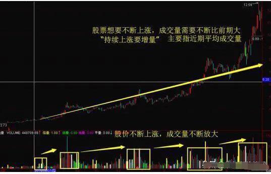 散户炒股常见错误_止损技巧_炒股经验总结