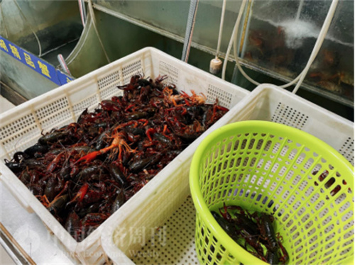 蚌埠网红旅游地_蚌埠文创园区_蚌埠美食攻略