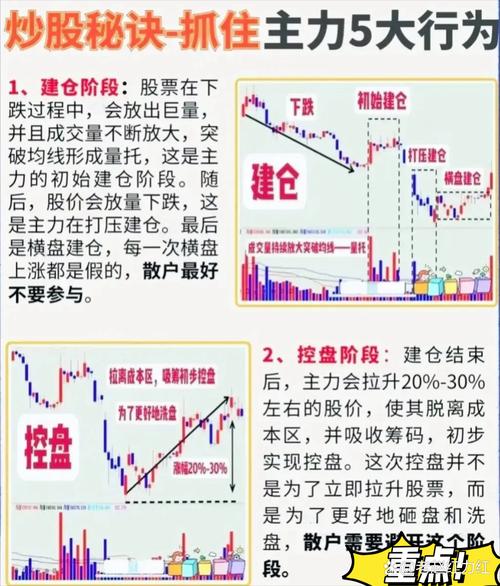 炒股经验总结_止损策略_资金管理