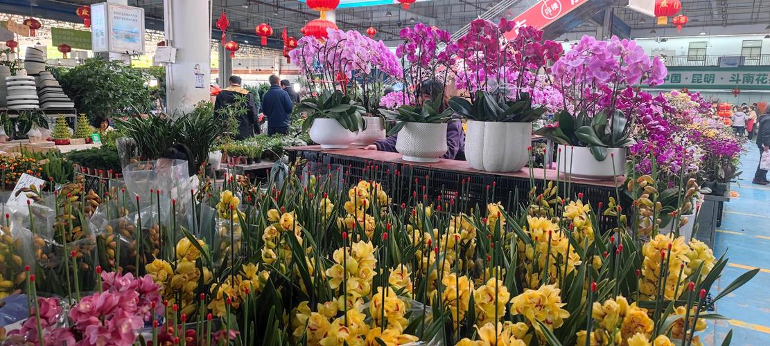 蚌埠年宵花展_蚌埠文创园区_蚌埠花卉科技产业园
