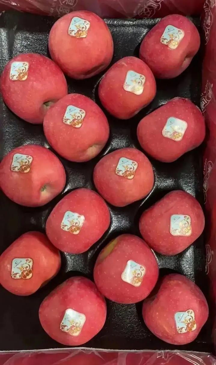 期货吧和期市吧_苹果期货市场分析_苹果期货交割标准问题