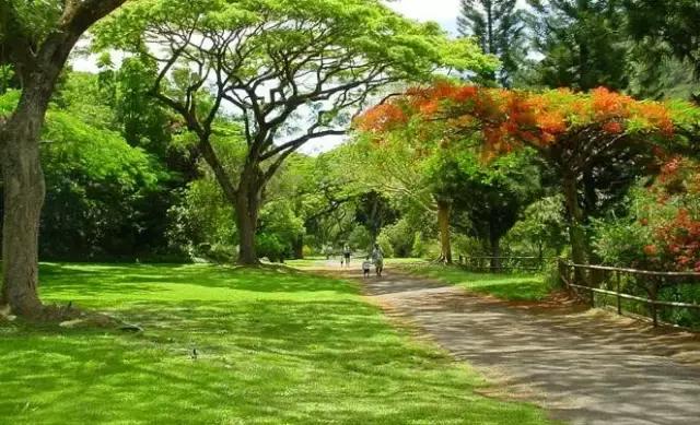 济宁市李营镇规划图_济宁149乡镇综合实力排名_济宁市乡镇地图