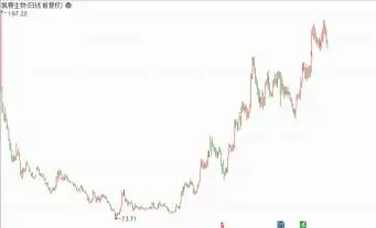 股市血亏97%案例_失败的炒股经历_ 科创板新股炒亏百万