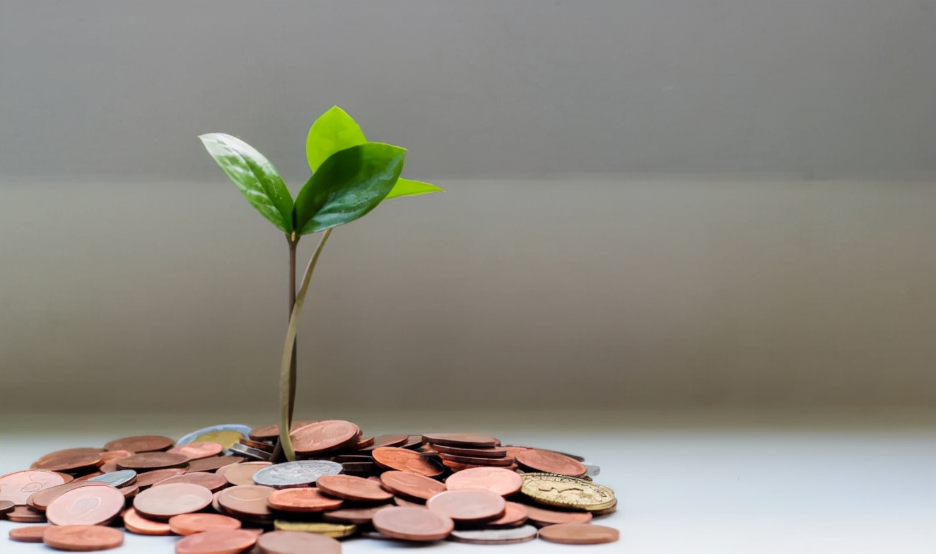 写书评赚钱方法_如何在豆瓣写影评赚钱_如何边读书边免费赚钱