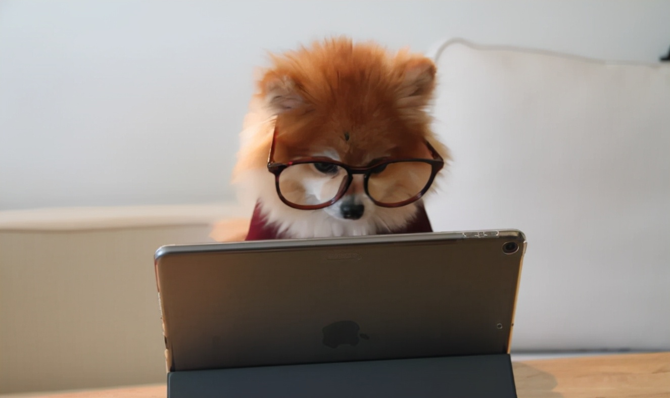 如何在豆瓣写影评赚钱_写书评赚钱方法_如何边读书边免费赚钱