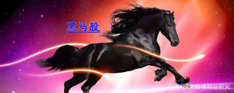 黑马股选择技巧_长期黑马股技术面分析_股票黑马形态