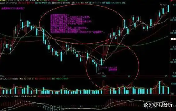交易者心态_股票黑马形态_黑马股特征