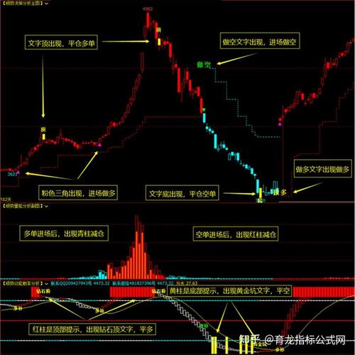 东航期货交易软件大揭秘：文华财经与博易大师各有啥特点？