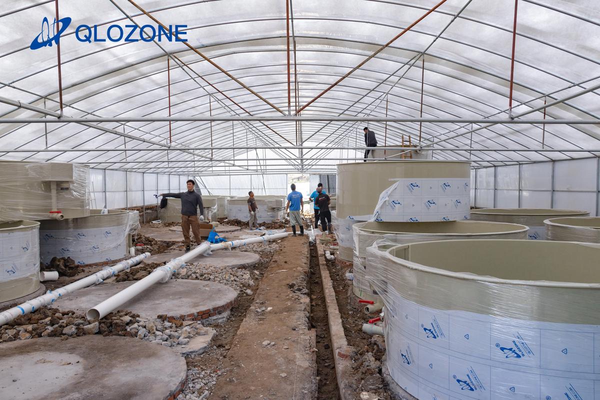 养殖什么赚钱快成本低_武汉工厂化循环水养殖系统_循环水养殖技术优势