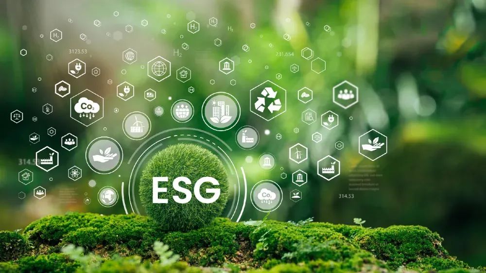 农行股票_湖南发展股票怎么样_县域经济