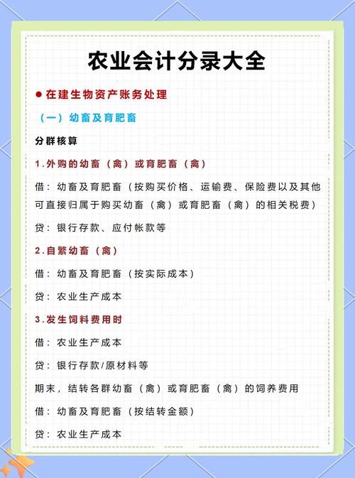 基本建设工程建设单位会计核算实务_种植业会计分录实例大全_农业种植业会计科目设置