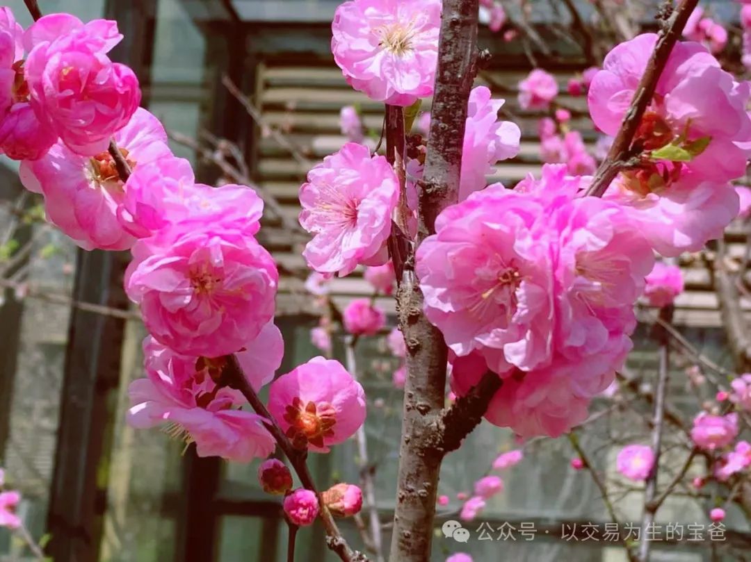海控a股_港股海控_海得控制股票行情