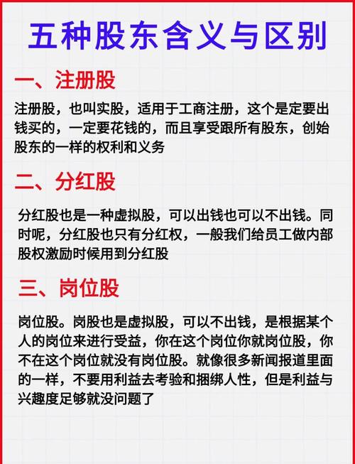 股票分析报告_股票股息收取_公司所有权份额