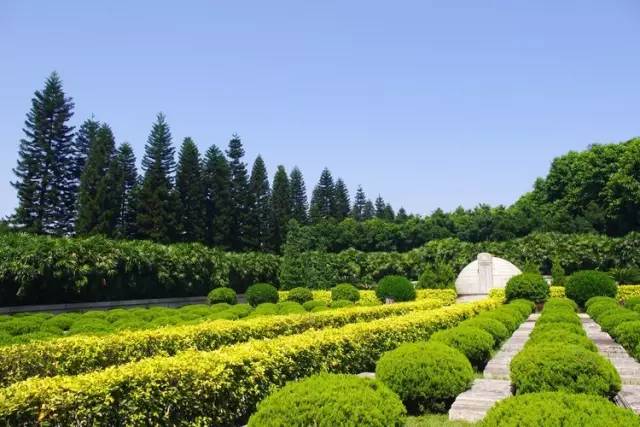 招商信用卡有带羊城通功能吗_羊城通功能指南_羊城通隐藏用途