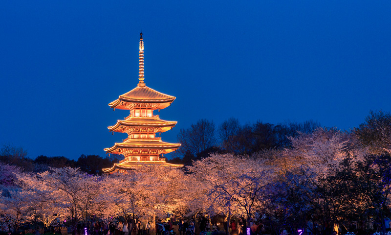 中航期货深圳分公司_深圳中证期货有限公司_中航期货上海分公司
