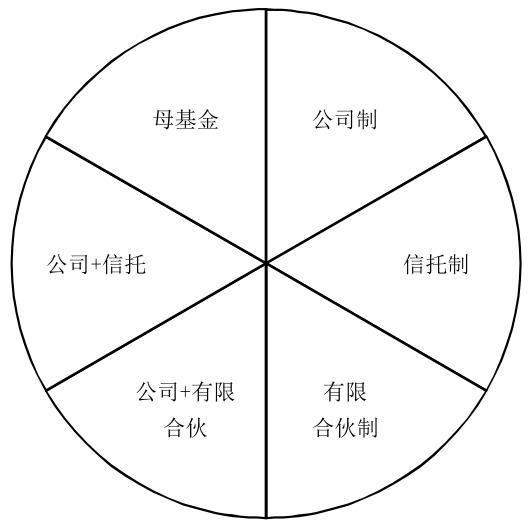 公司制PE_PE组织形式_私人股权基金的特点