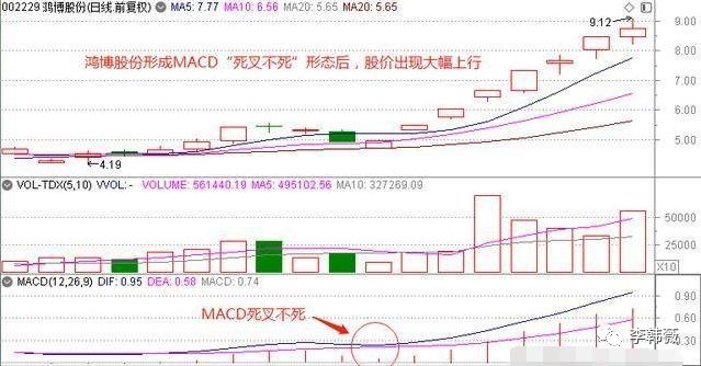 macd将死不死选股公式_MACD将死不死实战技巧_MACD将死不死形态