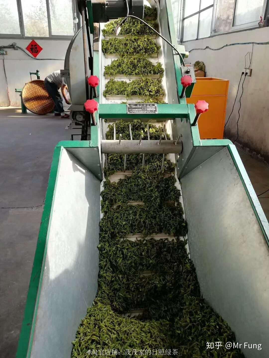 日照绿茶价格分析_日照电视台在线直播_日照绿茶种植地