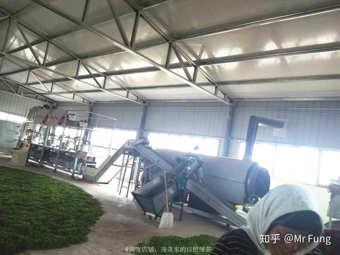 日照电视台在线直播_日照绿茶种植地_日照绿茶价格分析