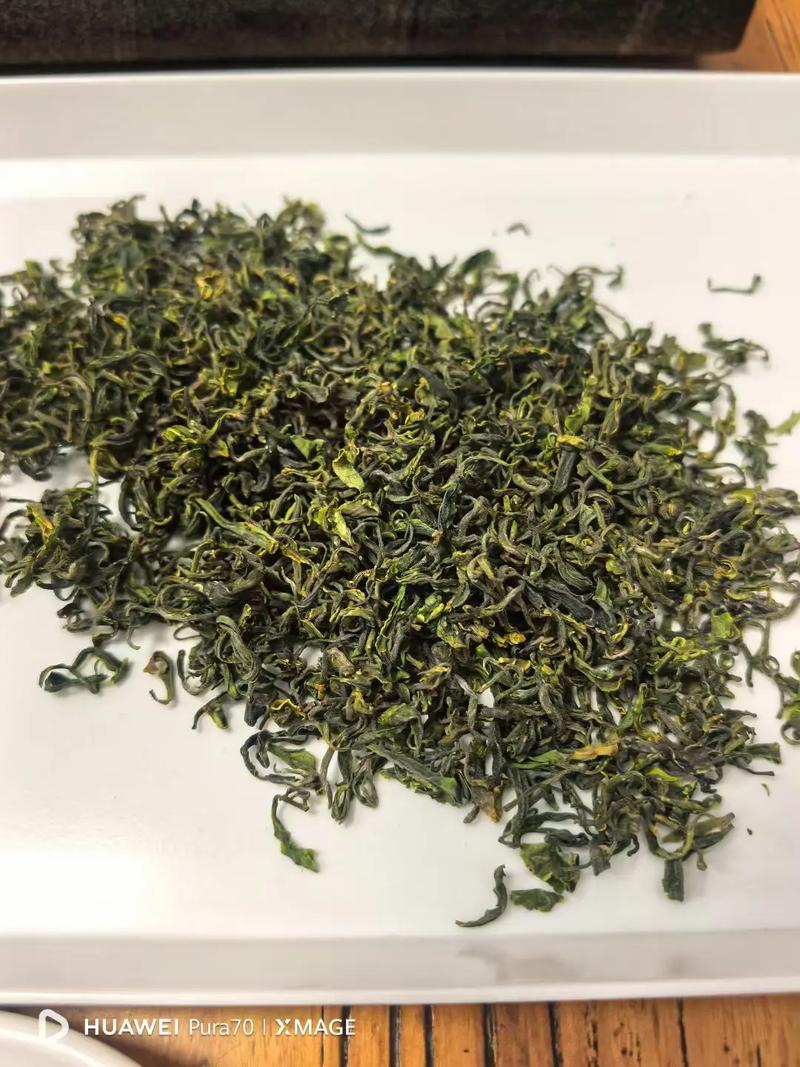 日照绿茶种植地_日照绿茶价格分析_日照电视台在线直播