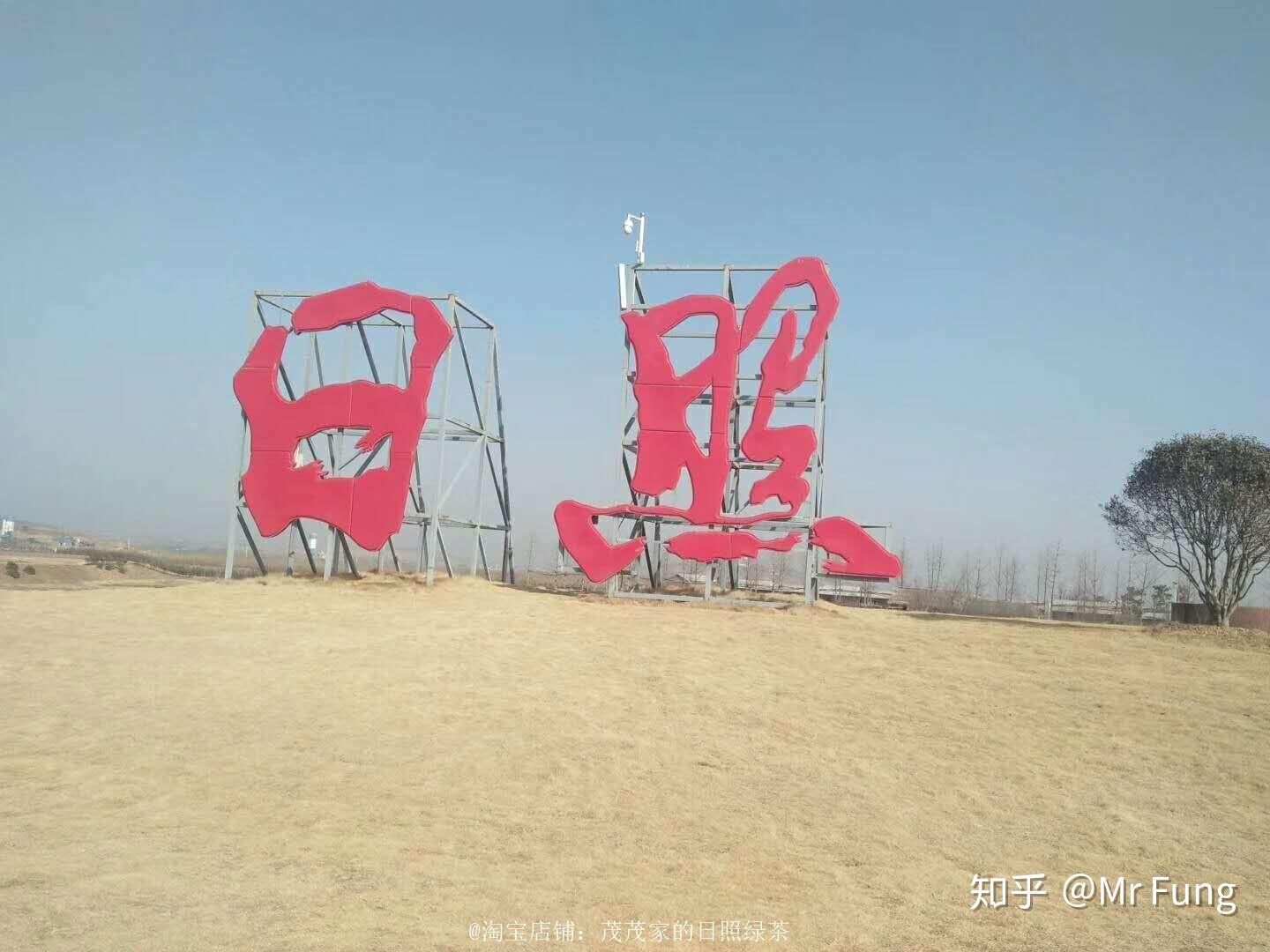 日照绿茶种植地_日照绿茶价格分析_日照电视台在线直播