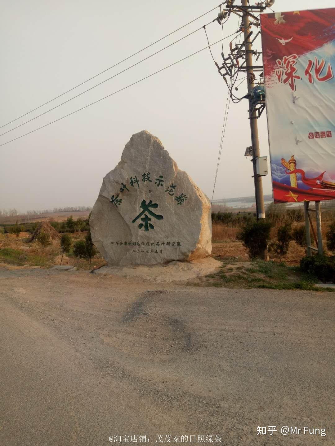 日照电视台在线直播_日照绿茶价格分析_日照绿茶种植地