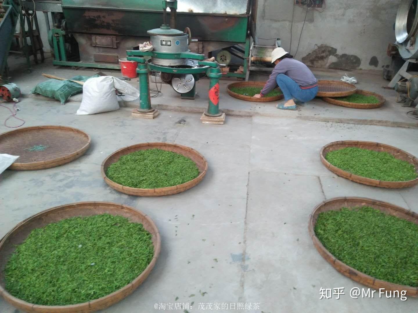 日照绿茶价格分析_日照电视台在线直播_日照绿茶种植地