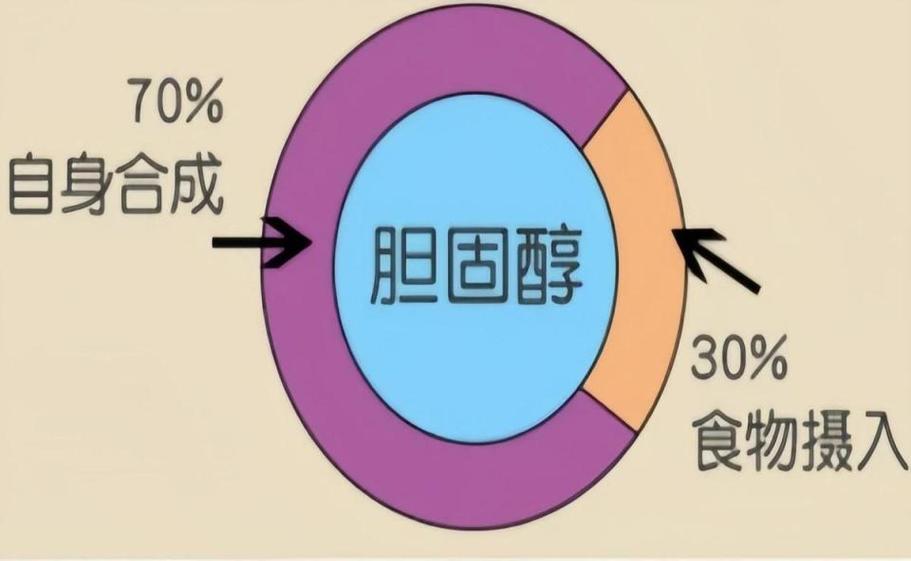高要为什么吃蛋黄_高胆固醇食物清单_猪油胆固醇含量