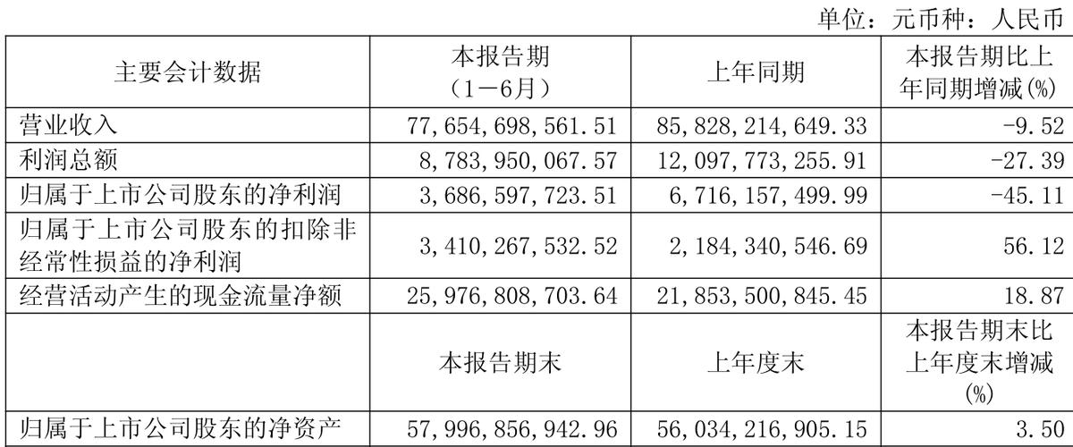 国电电力2025年中报_2025国电电力分红预期_归母净利润同比变化分析