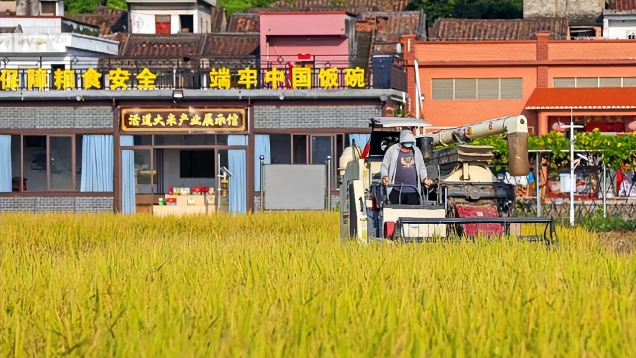 高要为什么吃蛋黄_高要特色手信制作过程 白土煎堆制作方法 疍家糕传统制作工艺