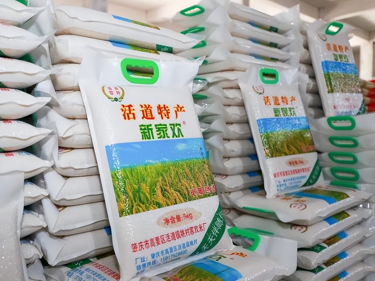 高要特色手信制作过程 白土煎堆制作方法 疍家糕传统制作工艺_高要为什么吃蛋黄