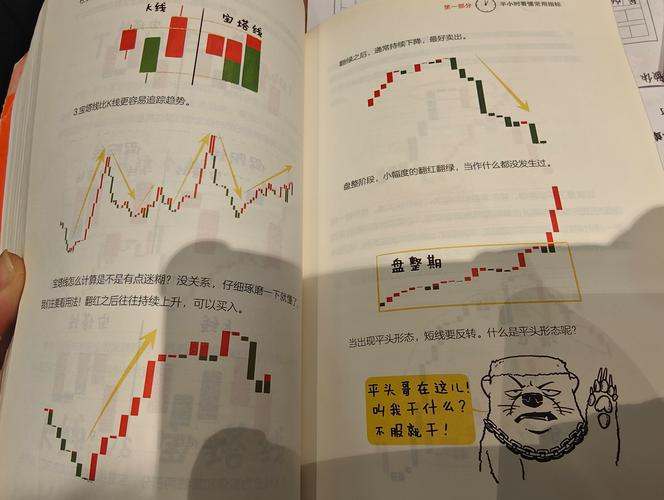 最经典的10本股票书籍_股票大作手回忆录推荐_开始学炒股看哪些书