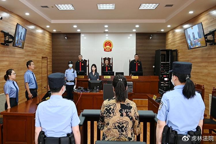 高虎林开设赌场故意伤害罪_淮上区法院网公告_蚌埠市淮上区法院一审宣判恶势力犯罪集团案