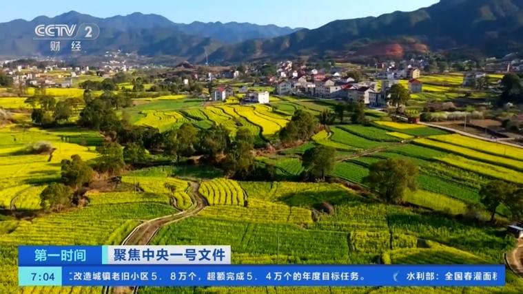 中央一号文件农业投资机会_粮油作物单产提升行动_农产品股票的价值