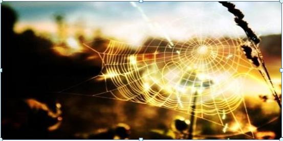 炒股励志故事_交易心理障碍分析_无意识交易心理陷阱