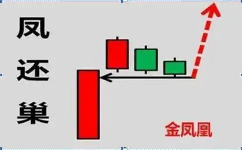 炒股每个月20个点一年多少倍_长期持有股票策略_巴菲特投资理念