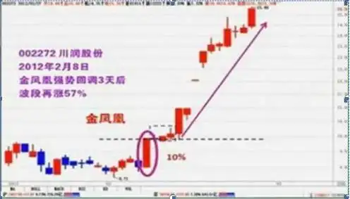 巴菲特投资理念_长期持有股票策略_炒股每个月20个点一年多少倍