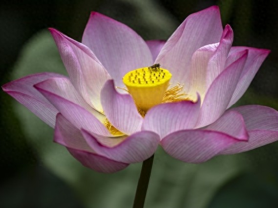 赚钱有诀窍！从劳力到点子，小王的逆袭之路你知道吗？