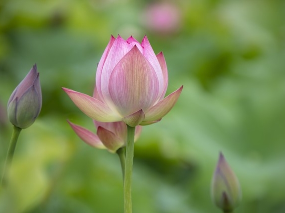 前年免费的赚钱诀窍_小王摆摊创业故事_赚钱千年不变秘诀