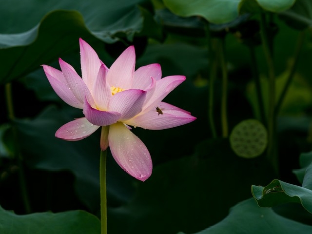 赚钱千年不变秘诀_前年免费的赚钱诀窍_小王摆摊创业故事