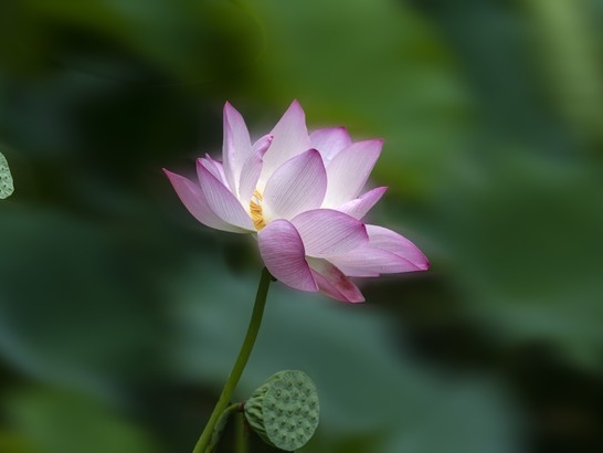 小王摆摊创业故事_前年免费的赚钱诀窍_赚钱千年不变秘诀