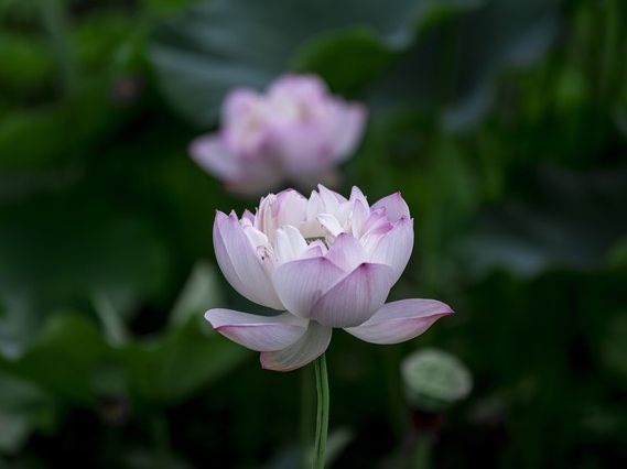 赚钱千年不变秘诀_小王摆摊创业故事_前年免费的赚钱诀窍