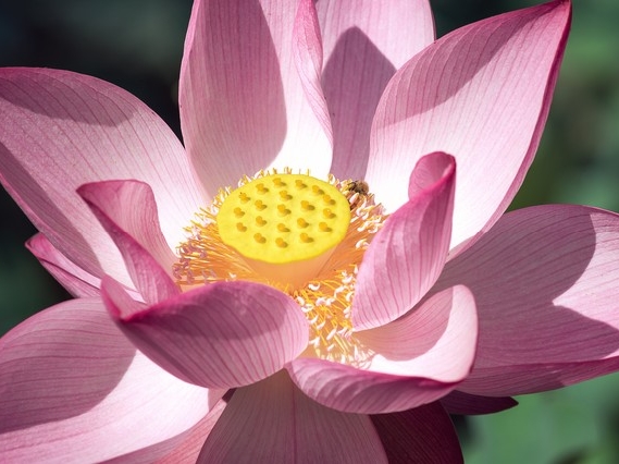 前年免费的赚钱诀窍_赚钱千年不变秘诀_小王摆摊创业故事