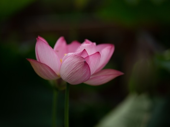 赚钱千年不变秘诀_前年免费的赚钱诀窍_小王摆摊创业故事