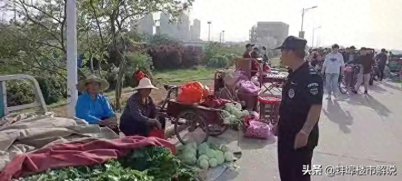 蚌埠市蚌山幼儿园招生_蚌埠学校招生政策解读_蚌埠拆迁安置房最新消息