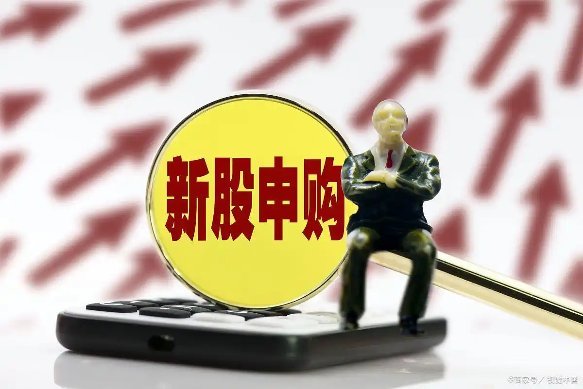 第一天新股怎么价格才能买入_股票打新市值要求_新股申购操作步骤