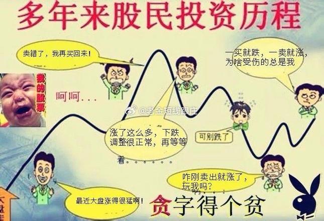 杨怀定 中国第一股民 传奇人生_一个炒股发家的老股民