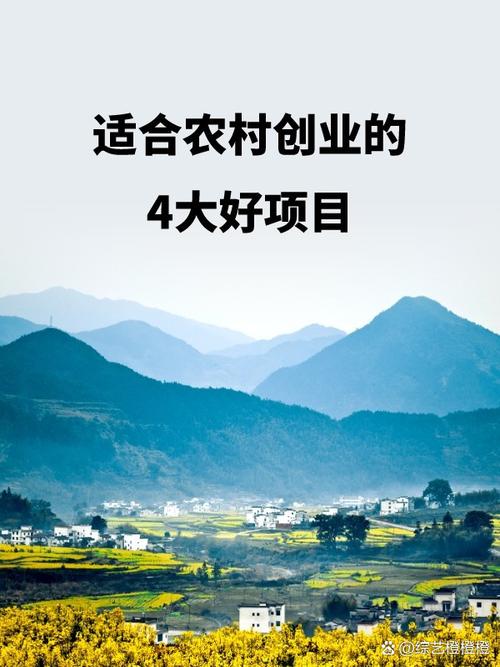 农村做什么生意赚钱_农村电商_农村教育培训