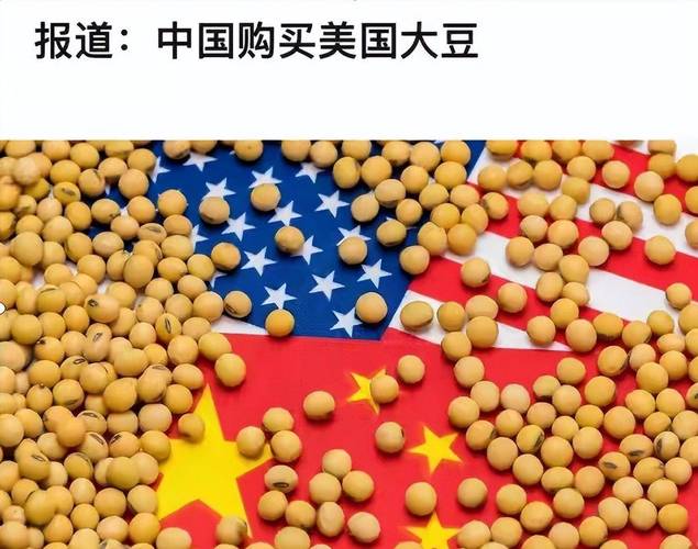 中粮采购18万吨美国大豆，对美豆期货市场影响几何？