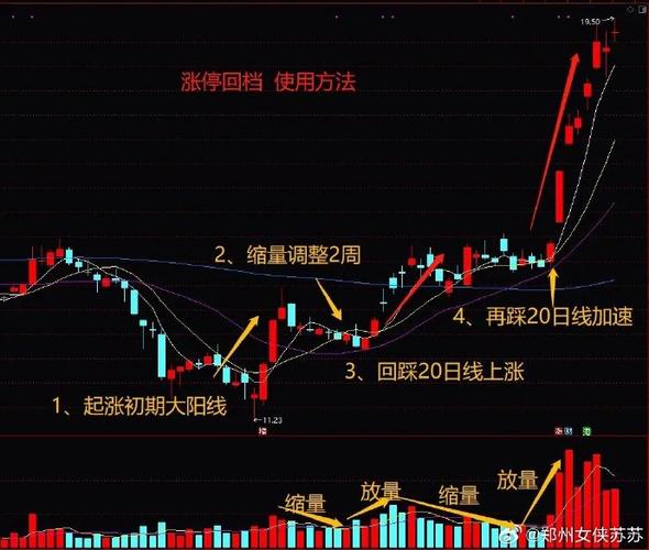 涨停回调位买入技巧_强势股回调买入法图解_涨停回调买入战法